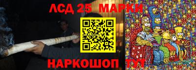 сатива Кандалакша