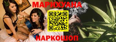 шишки Надым