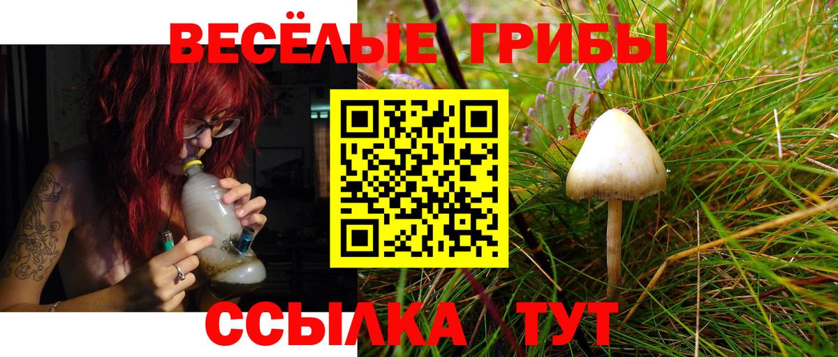 Галлюциногенные грибы ЛСД Джанкой
