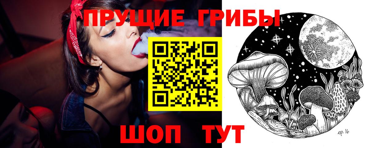 купить наркотик  Галлюциногенные грибы Magic Shrooms  Вход с VPN  Джанкой  Псилоцибиновые грибы Psilocybine cubensis 